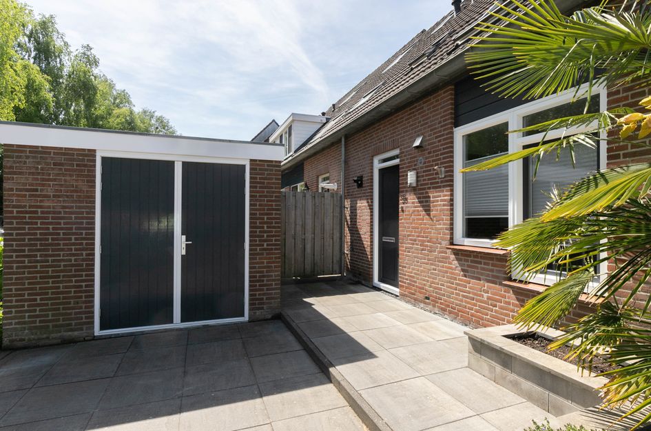 Pijlkruid 35