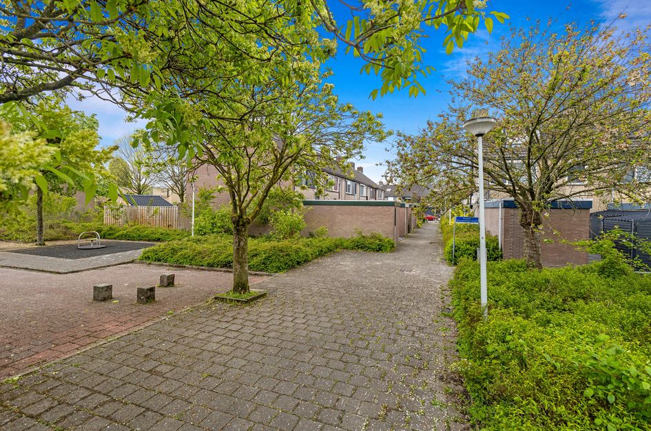 Domela Nieuwenhuisstraat 12