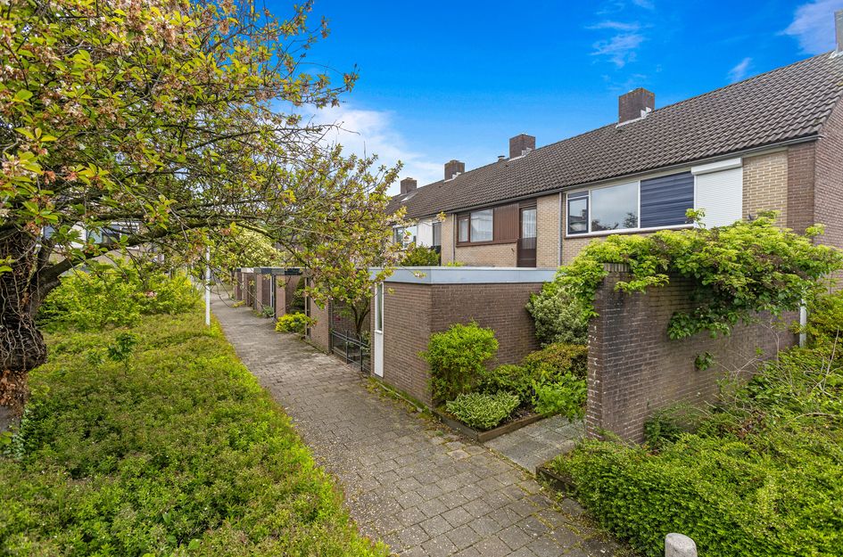 Domela Nieuwenhuisstraat 12