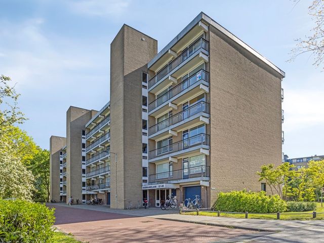 Boerhaavelaan 73, Leiden