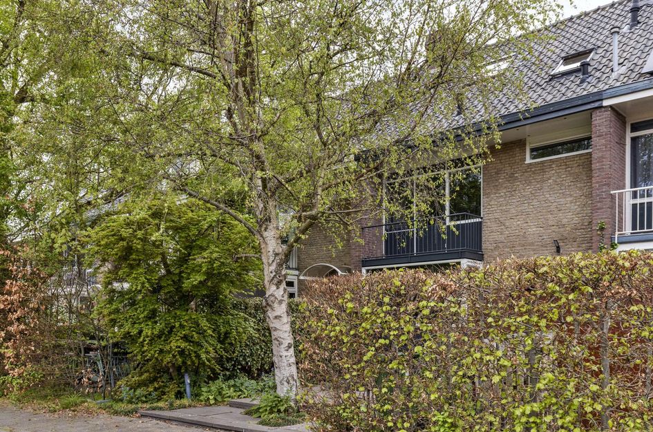 Vondellaan 18