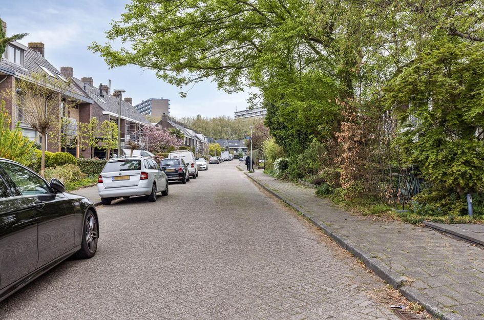 Vondellaan 18