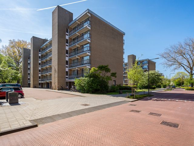 Boerhaavelaan 251, Leiden