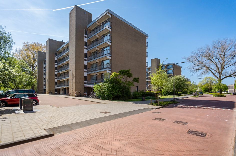 Boerhaavelaan 251