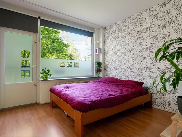 Boerhaavelaan 251, Leiden