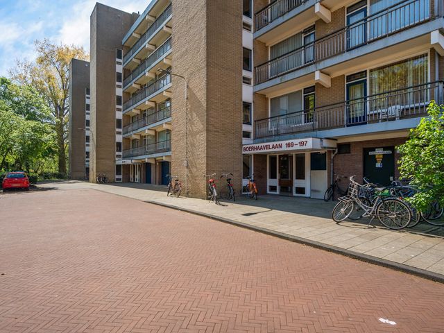 Boerhaavelaan 251, Leiden