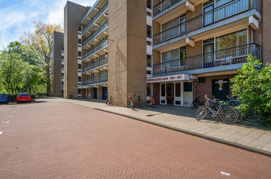Boerhaavelaan 251