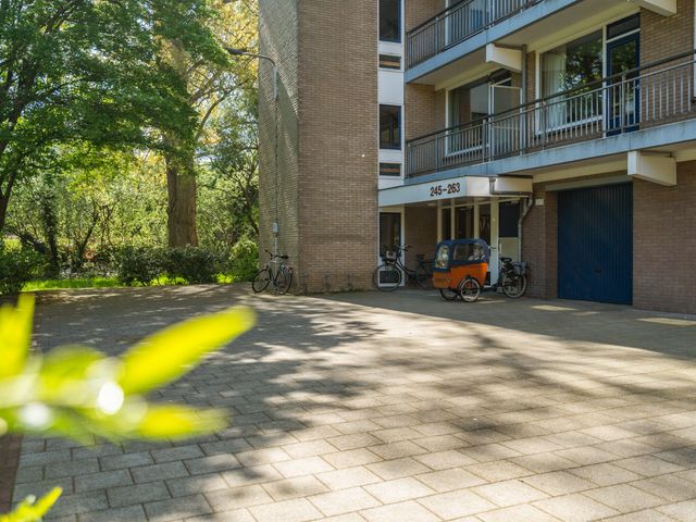 Boerhaavelaan 251, Leiden