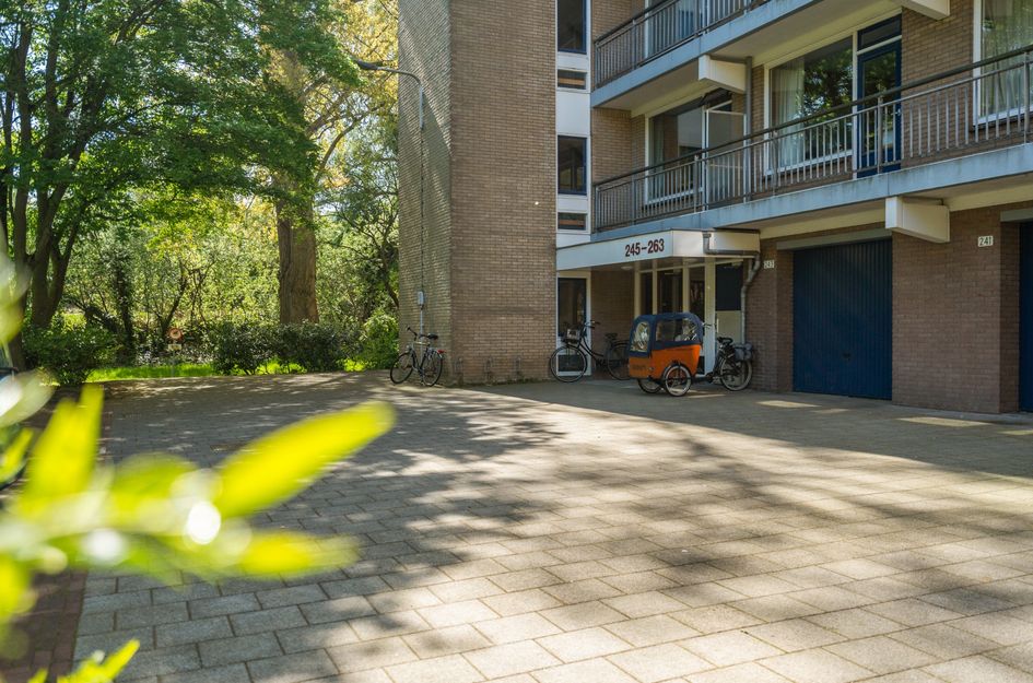 Boerhaavelaan 251
