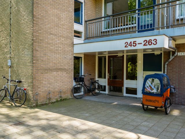 Boerhaavelaan 251, Leiden