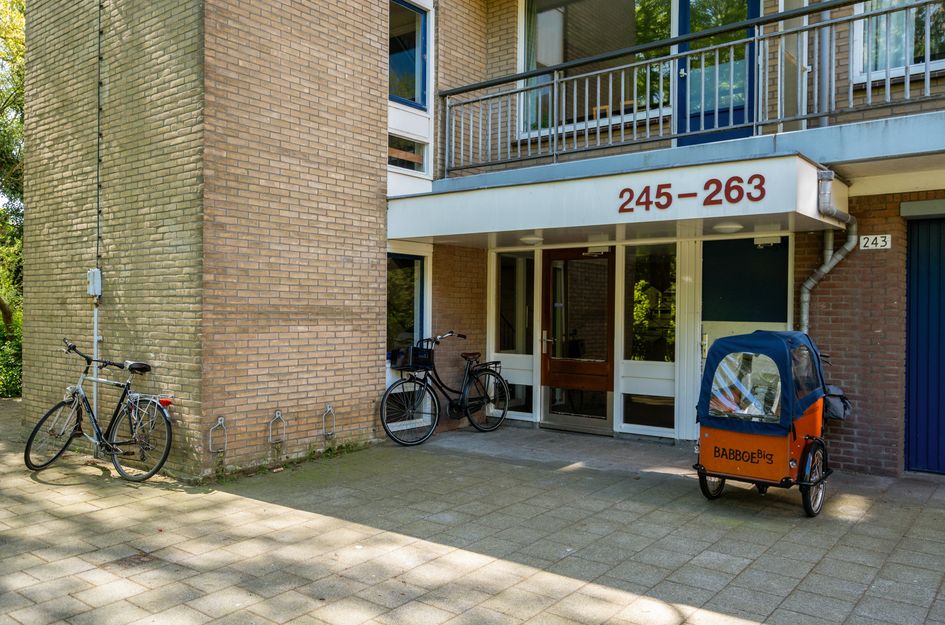 Boerhaavelaan 251
