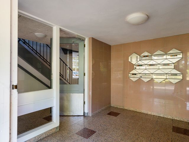 Boerhaavelaan 251, Leiden