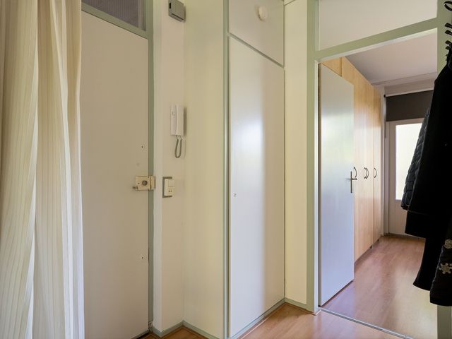 Boerhaavelaan 251, Leiden