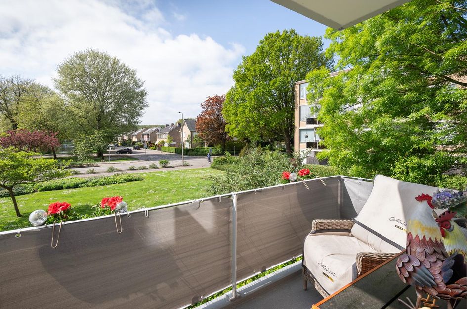 A.M. de Jongstraat 291