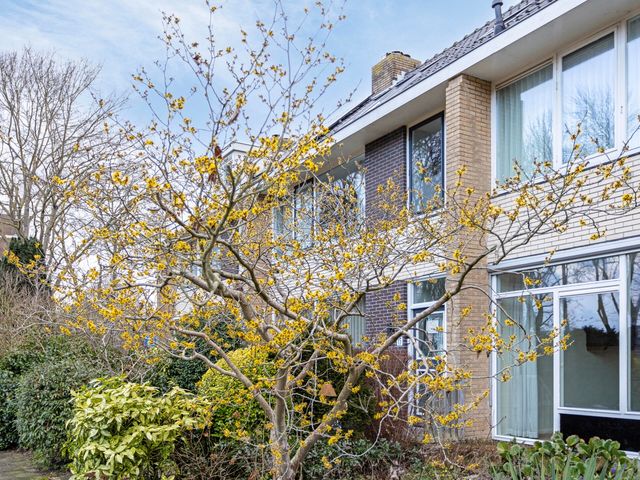 Admiraal De Ruyterlaan 14, Oegstgeest