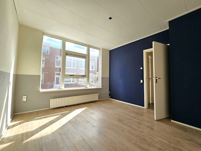 Singel 163A1, Schiedam