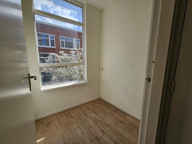 Singel 163A1, Schiedam