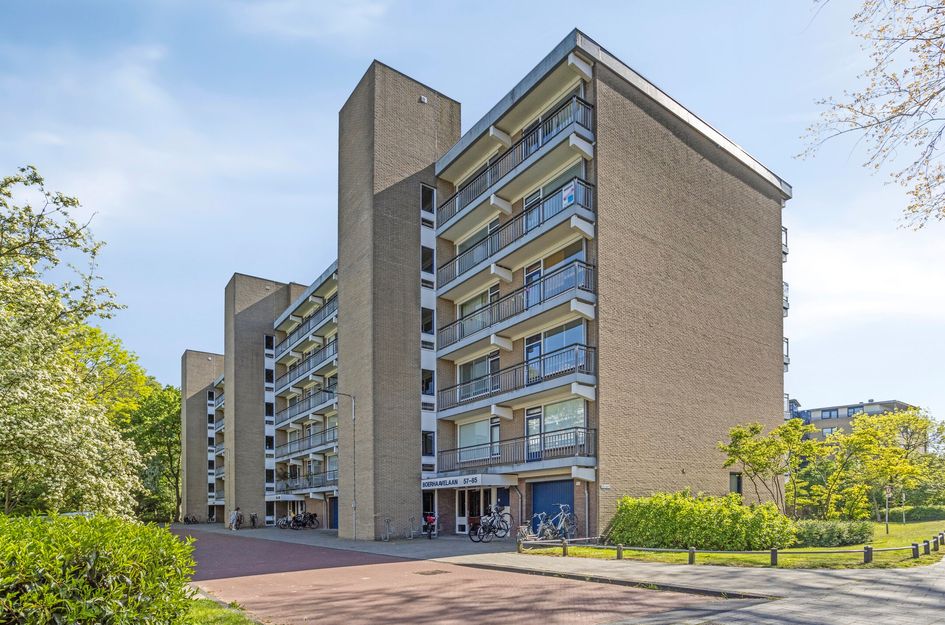 Boerhaavelaan 73