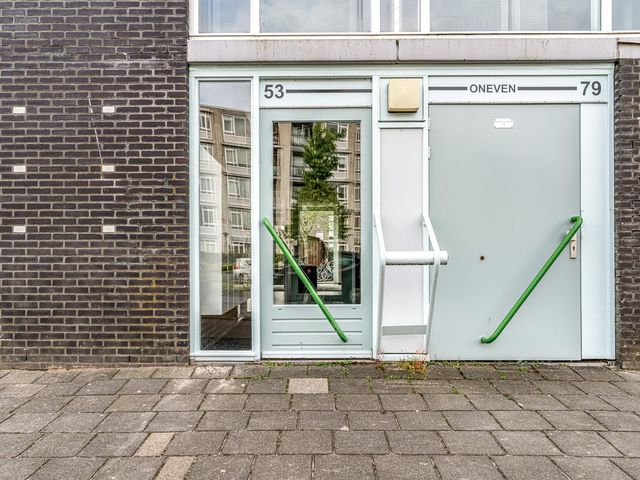 Dobbedreef 59, Leiden