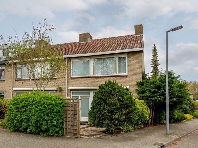Sterremos 1, Rotterdam