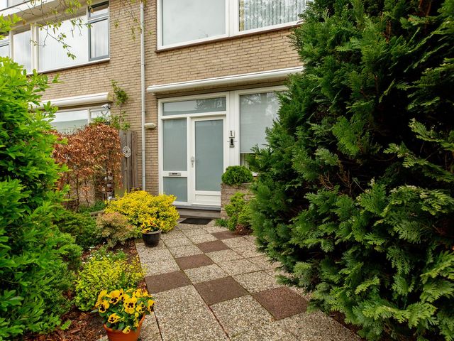 Sterremos 1, Rotterdam