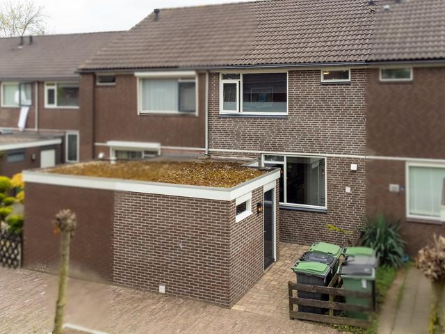 Ganzepeppel 67, 'S-Heerenberg