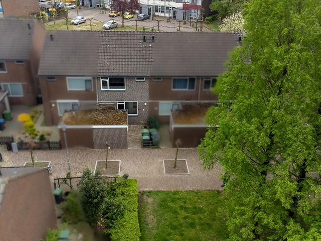 Ganzepeppel 67, 'S-Heerenberg