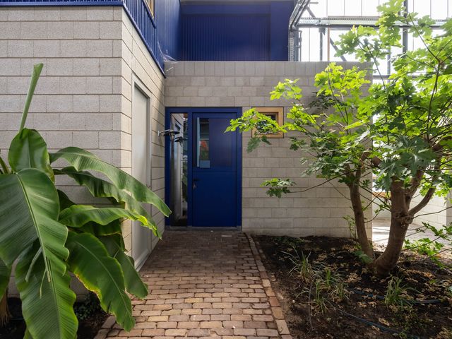 West 49, Avenhorn