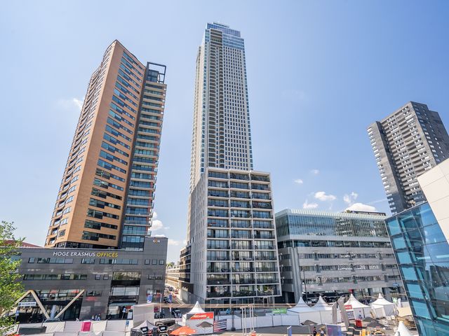 Houtlaan 261, Rotterdam