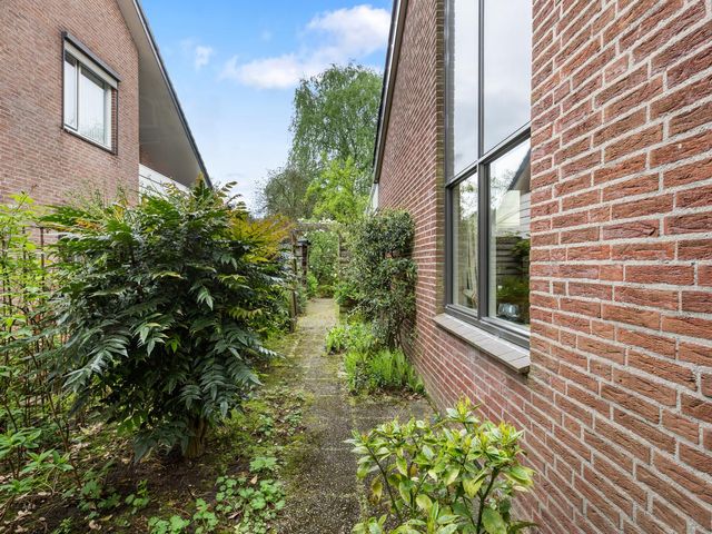 Wildzang 5, Huissen