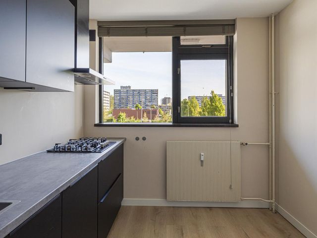 Briljantstraat 430, Alphen Aan Den Rijn