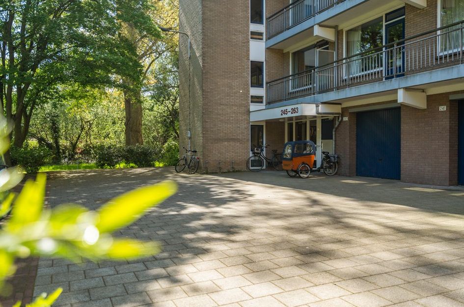 Boerhaavelaan 251
