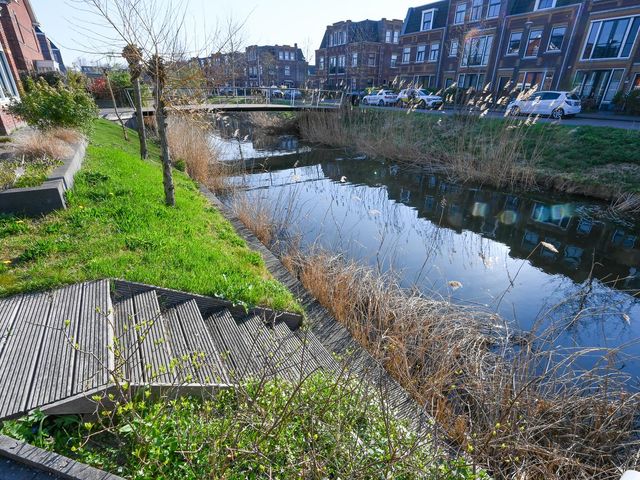 Thomas Mannsingel 53, 's-Gravenhage