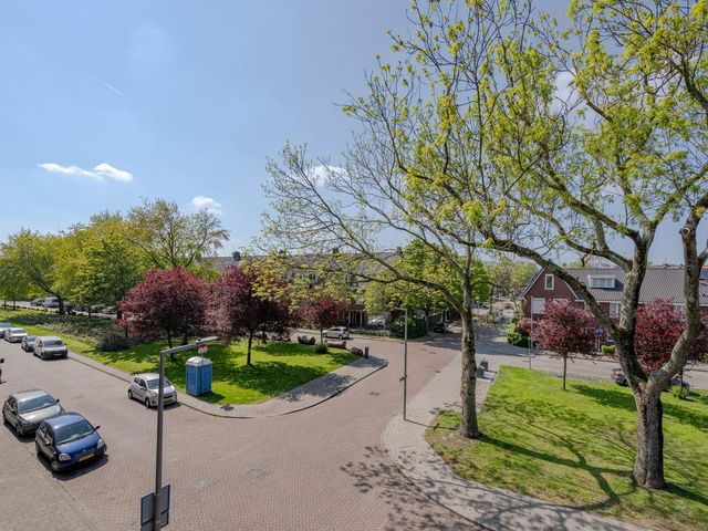 De Quackstraat 26A, Rotterdam