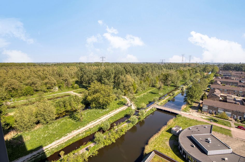 Wijde Wormer 149