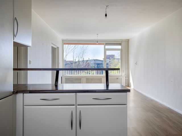 Frans Halslaan 243, Oegstgeest