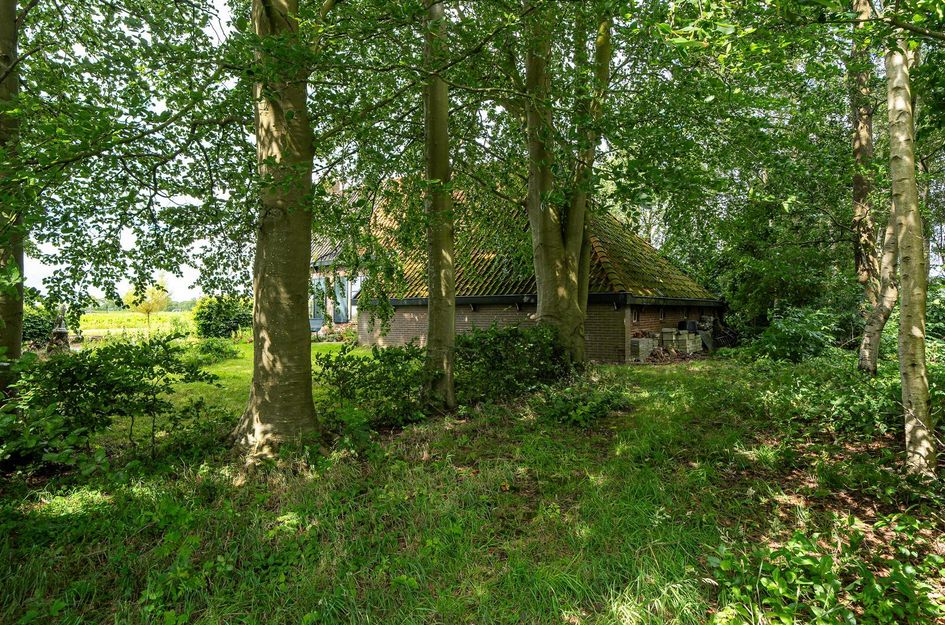Loevestein 6