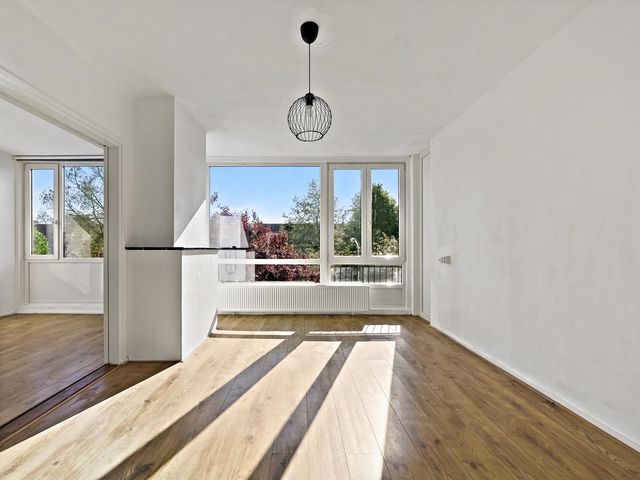 Aart van der Leeuwkade 154, Voorburg