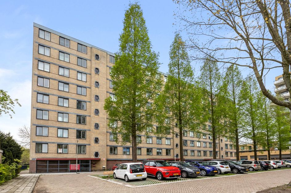 Ariaweg 87