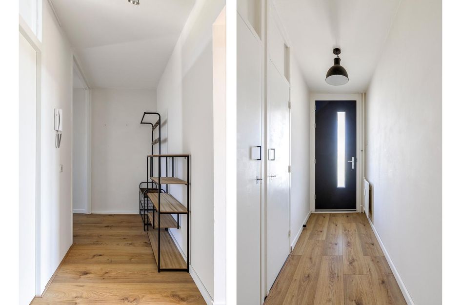 Rietzangerstraat 97