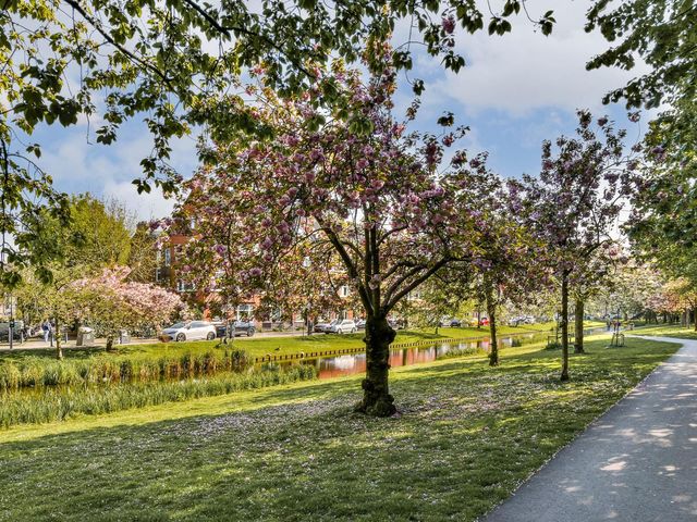 Boreelstraat 8B, Rotterdam