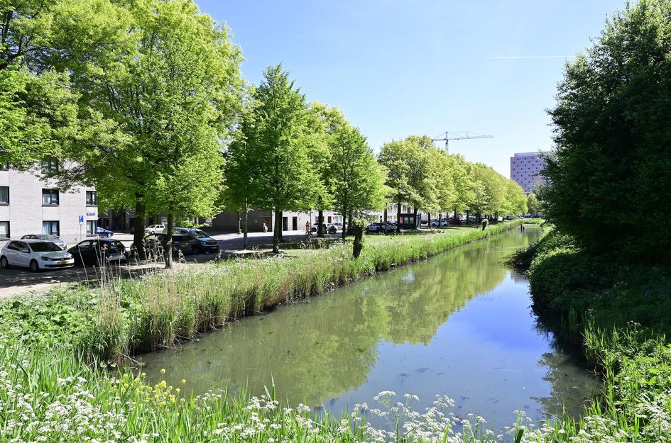 Boris Pasternakstraat 461