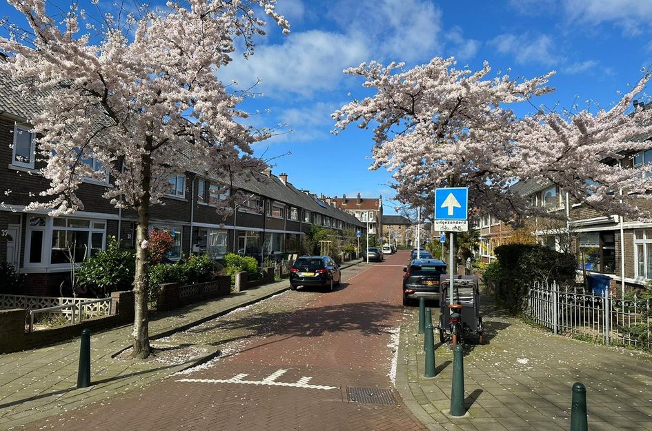 Gloriantstraat 20