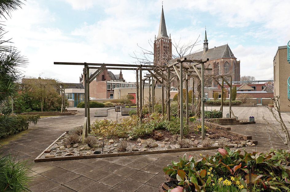 Wilhelminastraat 5J