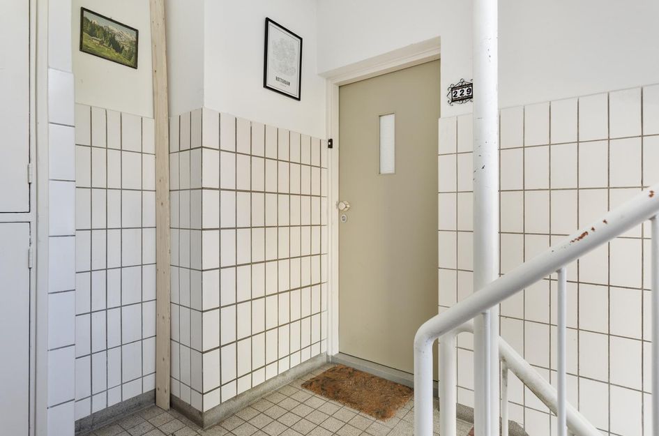 Socratesstraat 229