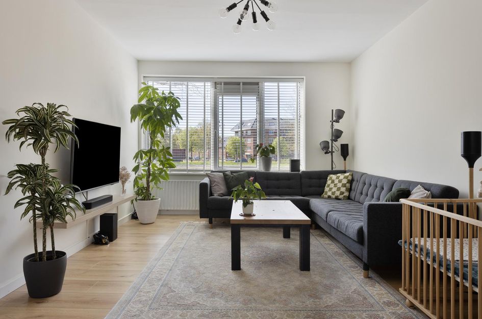 Socratesstraat 229
