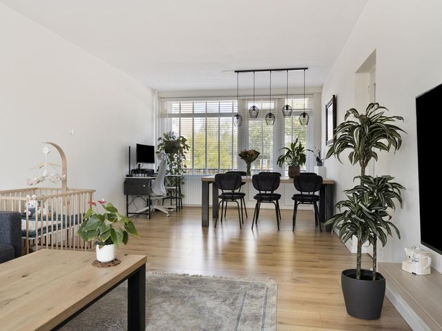 Socratesstraat 229, Rotterdam