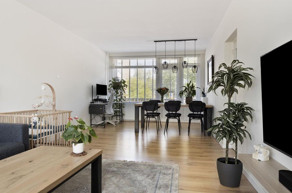 Socratesstraat 229