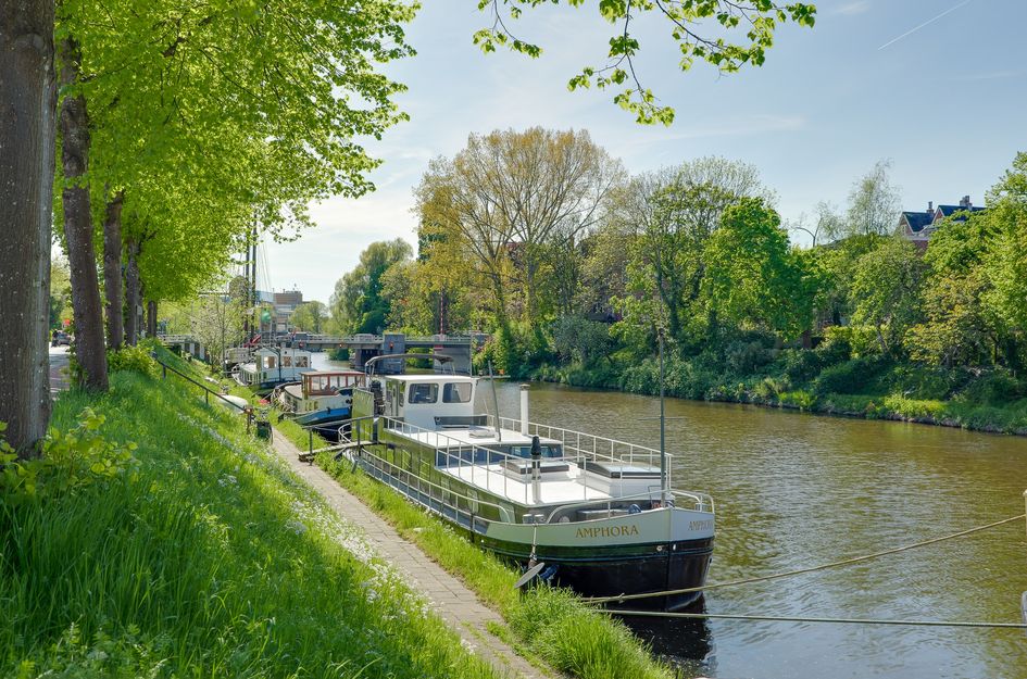 Trompsingel 1007