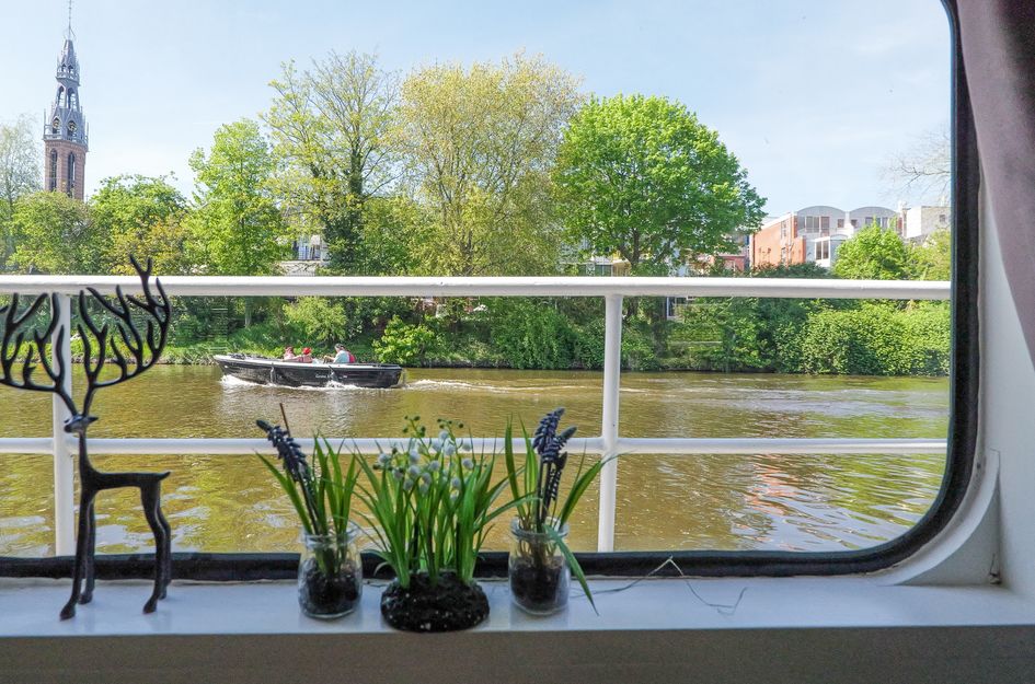Trompsingel 1007